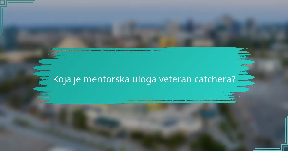 Koja je mentorska uloga veteran catchera?