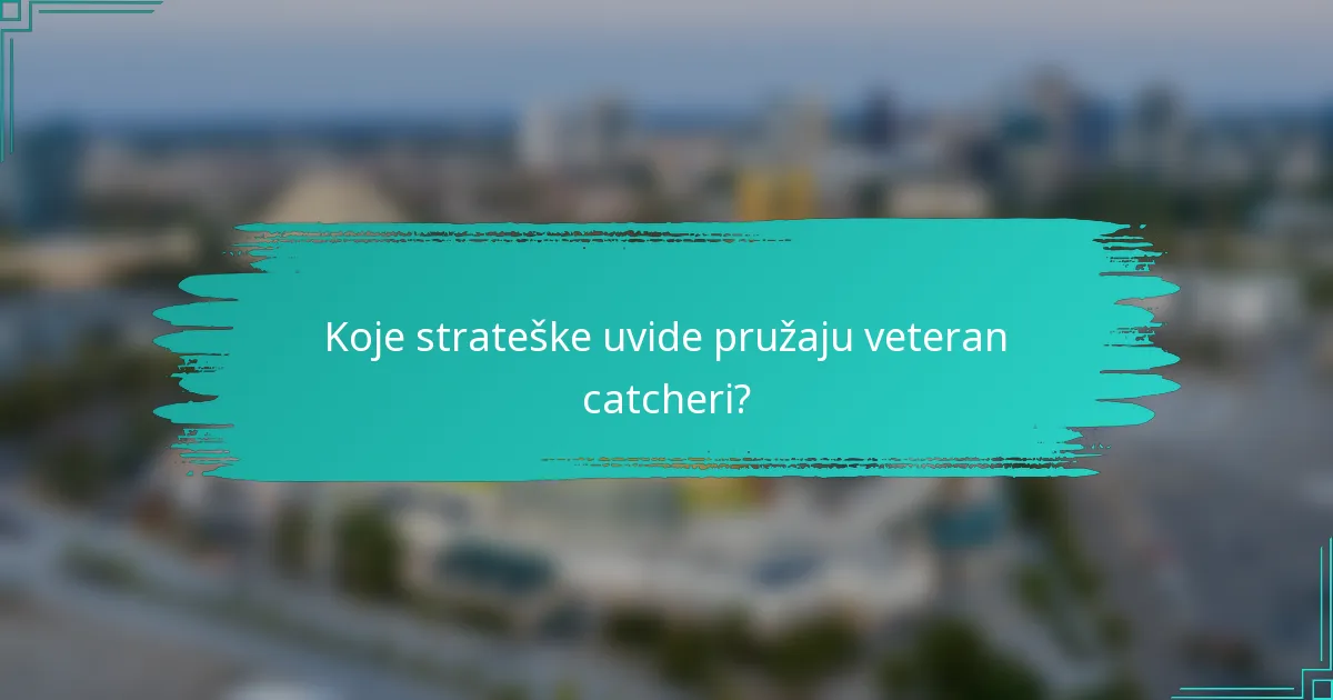 Koje strateške uvide pružaju veteran catcheri?